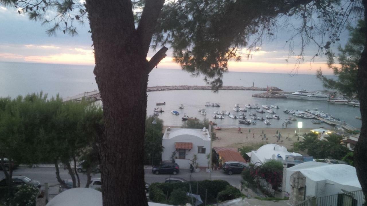 Blu Marine Casa A 10Mt Dalla Spiaggia Peschici Exteriör bild