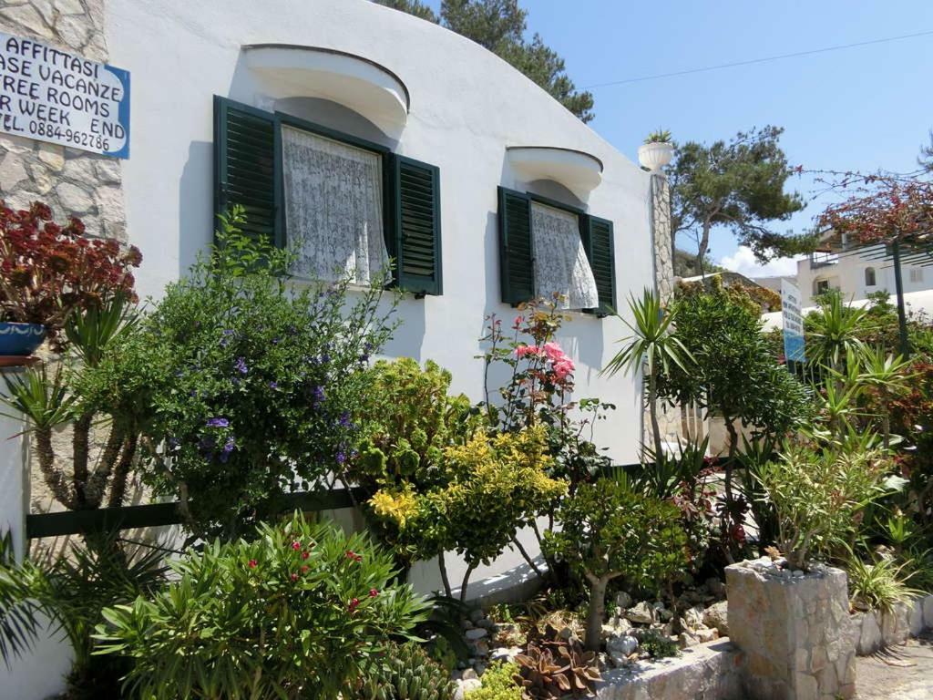 Blu Marine Casa A 10Mt Dalla Spiaggia Peschici Exteriör bild